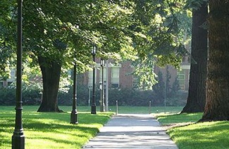 技能学习商学院