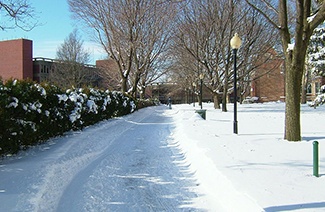 瓦格纳学院